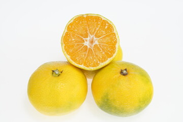 蜜柑　  三重の一番星　三重県産