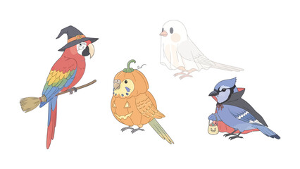 Halloween Birds illustration: A collection of whimsically illustrated birds adorned in Halloween costumes. A parrot in witch attire, a budgie inside pumpkin disguise, a blue jay with a cloak.