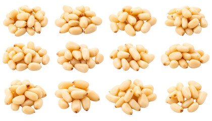 Set of pasta collection isolated on white background