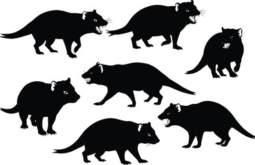Vector illustration of Tasmanian devil silhouettes in various aggressive and standing poses, wild marsupial animal design for nature artwork collection