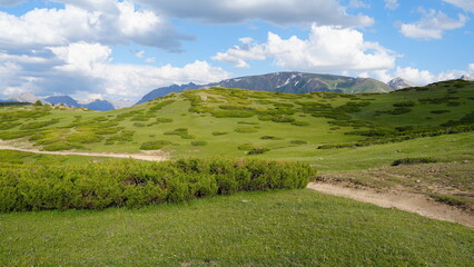 Meandering through a vibrant green meadow dotted with juniper bushes, a picturesque mountain path leads towards majestic snow capped peaks under a dynamic cloudy sky