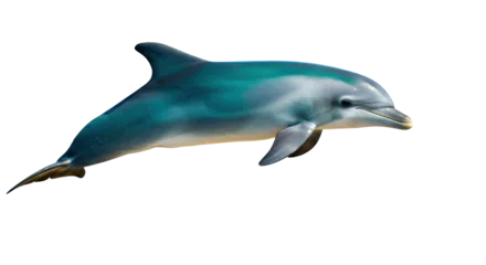 Fototapete Delphin Bottlenose dolphin PNG isolated on transparent background, marine mammal with sleek blue and gray skin for wildlife and ocean themes  © Adrian