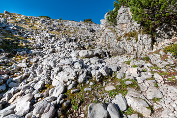 Rocky Limestone Slopes The Steinernes