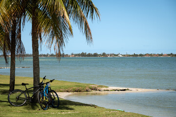 Palm Trees and Bicycles by the Lagoon in Araruama, Brazil