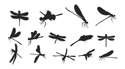 set of dragonfly silhouettes insects on white background vector illustration
