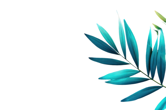 Palm Frond in Turquoise and Blue Tones on Black Transparent Background Tropical Leaf Isolated Plant Part Modern Design Botanical Element Graphic Resource Vibrant Color Exotic Flora Leafy Pattern - Powered by Adobe