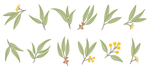 flat eucalyptus icons vector illustration