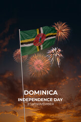 Sky with stars and fireworks waving National flags of Dominica