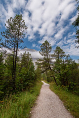 Wild alpine landscapes of the Wimbach Valley, Berchtesgaden Alps