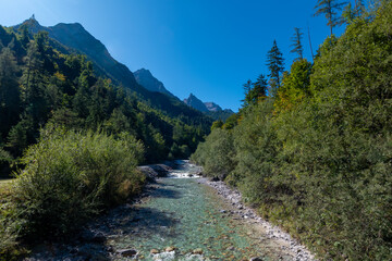 Clear mountain stream flowing through alpine forest valley, crystal clear water, lush green trees and rugged peaks under blue sky, untouched nature landscape in the Alps