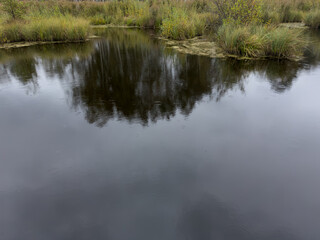 Tranquil scene of an autumn forest reflected in a serene lake under a cloudy, rainy sky. The lush trees and still water create a peaceful, contemplative atmosphere.
