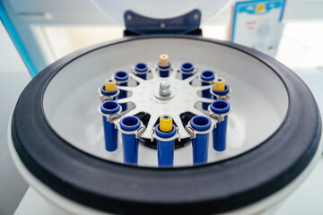 Centrifuge, laboratory, medical. Inside an open lab centrifuge with blue tubes and yellow-capped...