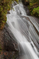 秋の渓谷, mountain stream