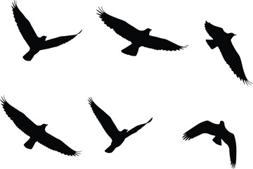 Bird, silhouette, flying, wings, motion, nature, vector, illustration, flight, posture, shadow, sky, feathers, avian, shape, dynamic, species, soaring, movement, angle