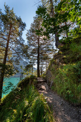 Narrow rocky hiking trail along Lake Achensee with steep cliff walls and lush vegetation, scenic alpine footpath in the Austrian Alps