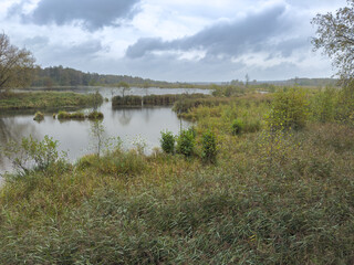  Tranquil scene of an autumn forest reflected in a serene lake under a cloudy, rainy sky. The lush trees and still water create a peaceful, contemplative atmosphere.
