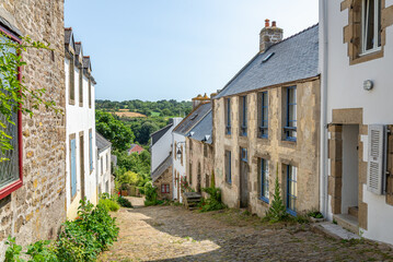 A sunlit cobblestone street winds between ancient stone houses, lush greenery, and blooming plants...