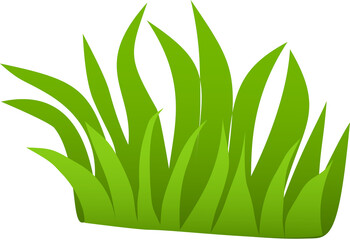 Patch of Green Grass