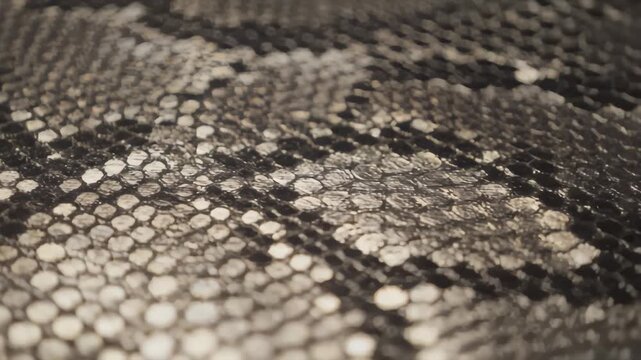 Detailed View of Grayscale Snake Skin Texture Pattern.