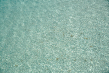 Clean Sea and Rocks with ripples on the surface. Fish swimming in the sea. View from the surface of the harbor. Clear freshwater. Transparent ocean water in Thailand sea. Underwater background.