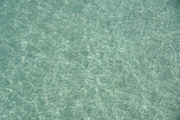Clean Sea and Rocks with ripples on the surface. Fish swimming in the sea. View from the surface of the harbor. Clear freshwater. Transparent ocean water in Thailand sea. Underwater background.