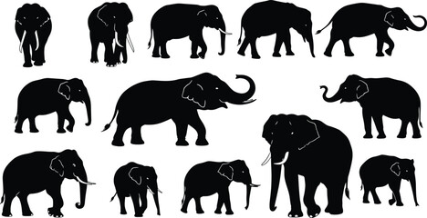 Elephant silhouette collection with different walking poses, wild animal shapes, African elephant outline, jungle wildlife vector illustration