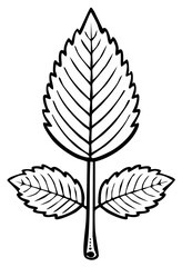Obraz premium Stylized botanical illustration of a three leaf sprig in black and white line art