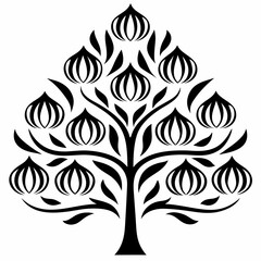 Areca tree on white background.01