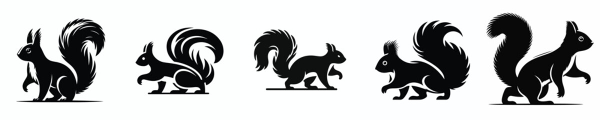 vector black and white silhouette of a squirrel