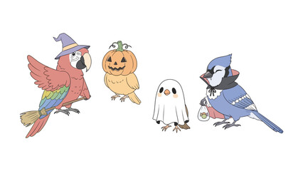 Halloween Costume birds: A whimsical illustration showcasing a macaw, pumpkin bird, ghost bird, and blue jay, each in delightful Halloween costumes, bringing a touch of playful spooky cheer.