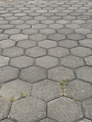 Obraz premium Weathered grey hexagonal paving stones form a durable, interlocking geometric pattern on the ground, with subtle green grass emerging from the seams.