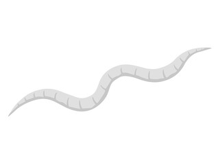 General Description of Pinworms
