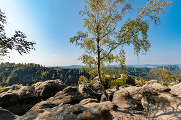Obraz premium Panoramic view of sandstone cliffs and forested valleys in Saxon Switzerland National Park, Germany, scenic rock formations and green landscape under clear blue sky