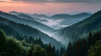 Obraz premium Mystical forest landscape at dawn. Foggy nature panorama with sunrise