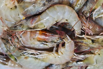 Fresh raw shrimp and prawns are a delicious, healthy seafood market meal