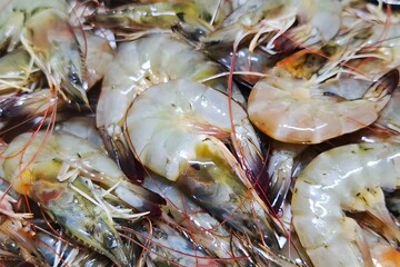 Fresh raw shrimp and prawns are a delicious, healthy seafood market meal