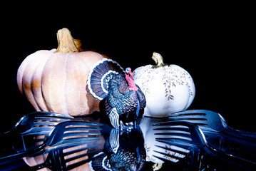 Thanksgiving the in the dark with lonexposure