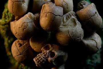 Small homemade skulls with moss nest creating unique shapes and patterns made by photographer