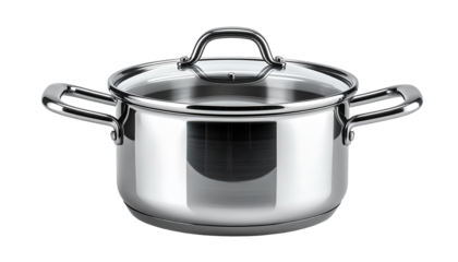 Shiny metal pot with glass lid (1)