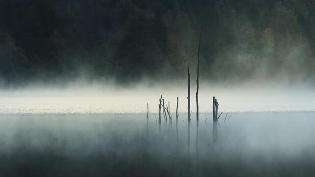  Spectacular sunrise on the lake. Mist rising from the water