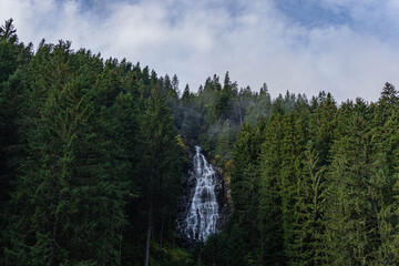 big beautiful waterfall in middle of pine trees green forest on autumn morning day in carpathian mountains with small clouds on top