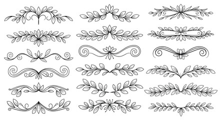 Elegant Floral and Leafy Decorative Borders and Dividers in Outline Style vine branch