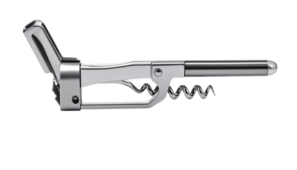 Silver winged corkscrew against black