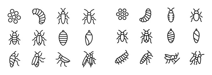 Fototapeta premium Insect Life Stages Icons