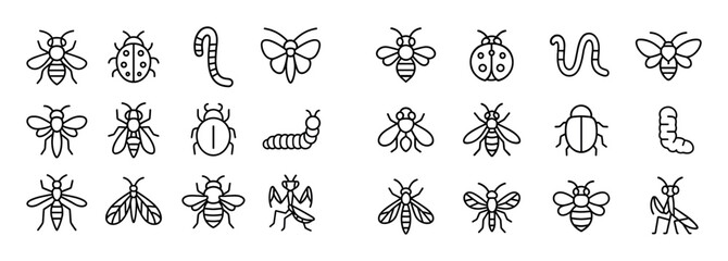 Insect Icon Collection
