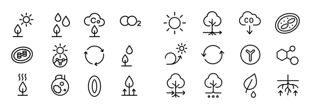 Tree Air Purification Icons