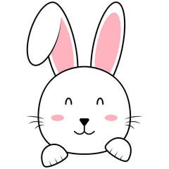 Cute Bunny Face