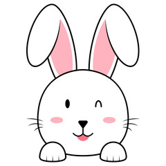 Cute Bunny Face
