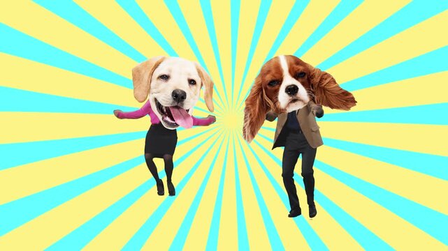 Stop motion animation. Dancing duo with dog heads on yellow and blue rays background. Concept of humor, identity, playful imagination, entertainment and modern creative art.