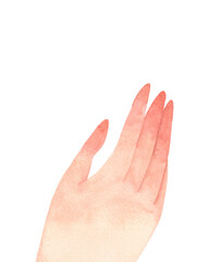 Watercolor woman's hand. Hand-painted illustration isolated on a white background